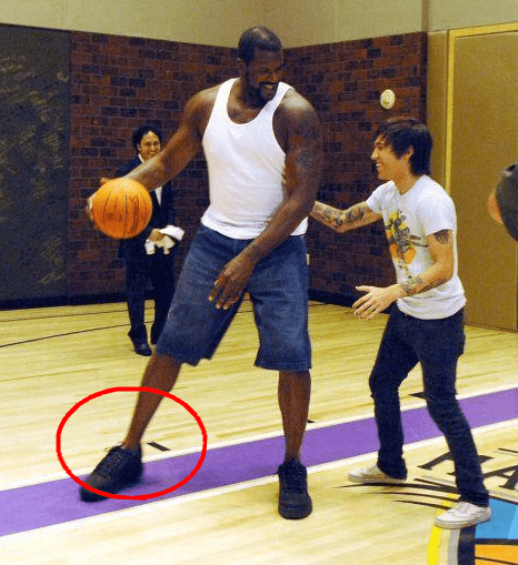 留池不重置 留池不重置